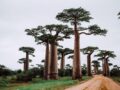 Découvrir les recoins de l’Afrique : Madagascar